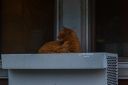 2L0A3184-tp-cw-res.jpg
