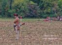 IMG_6178-TP-CW-RES.jpg