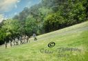 IMG_6313-tp-cw-res.jpg